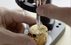 劳力士售后电话地址